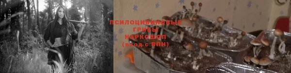 крисы Белоозёрский