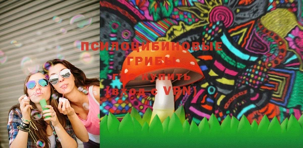крисы Белоозёрский