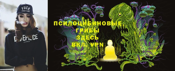 спиды Белокуриха