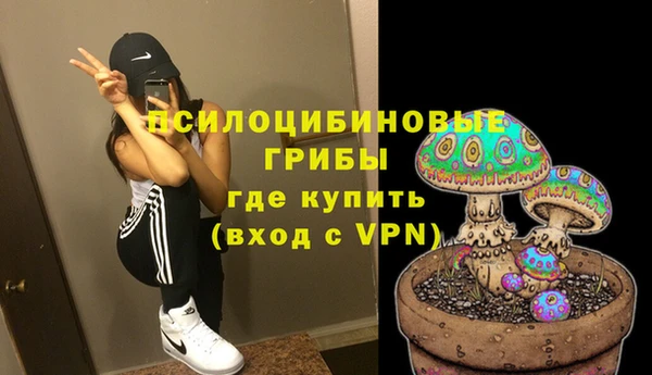 крисы Белоозёрский