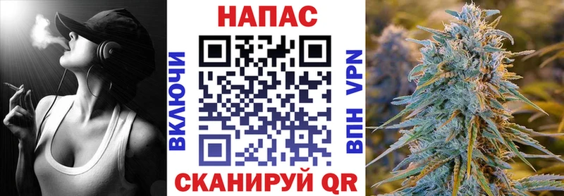 Бошки Шишки конопля  Малая Вишера 